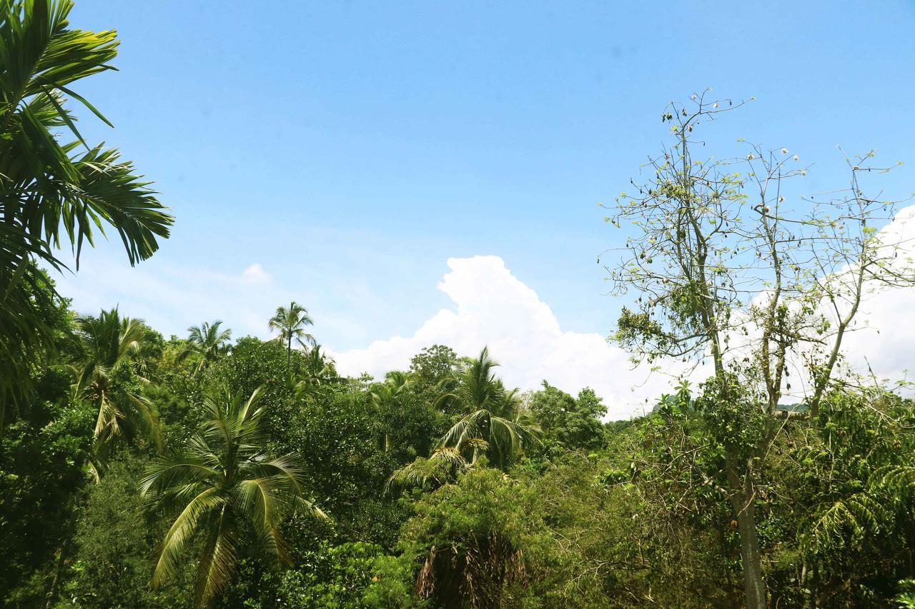 Villa Royce Kandy Bagian luar foto