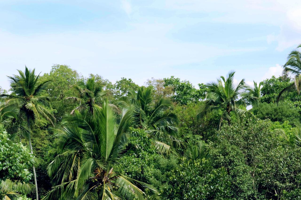 Villa Royce Kandy Bagian luar foto